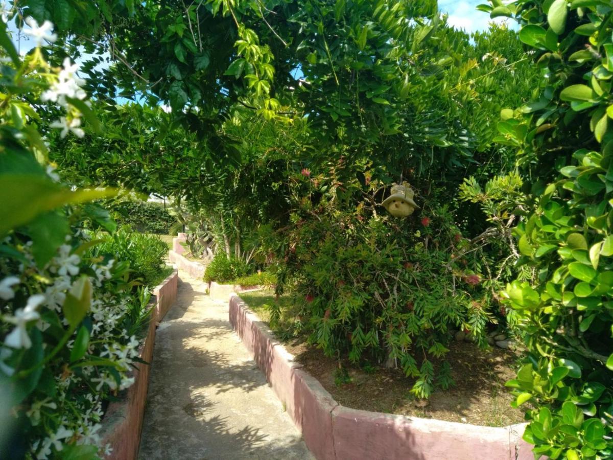 Le Rateau Bavoir Calvi  Kültér fotó